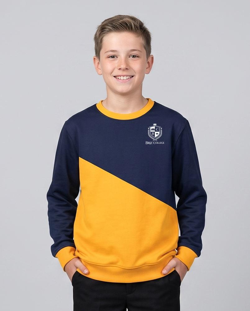 Sweatshirt 04