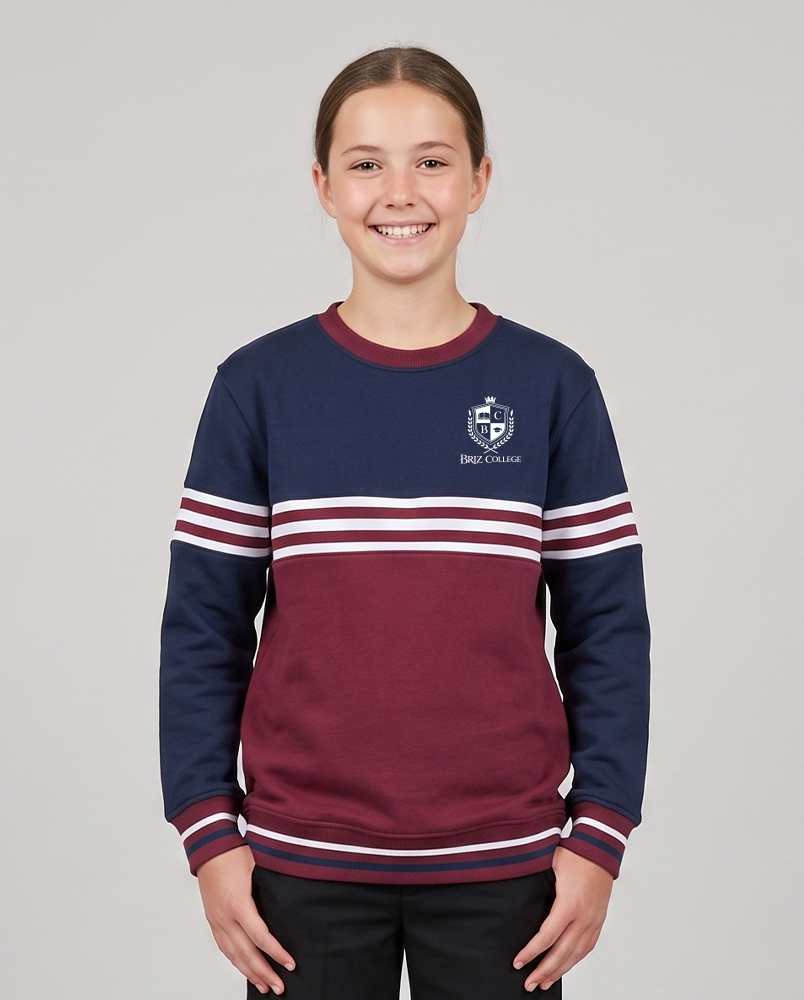 Sweatshirt 12